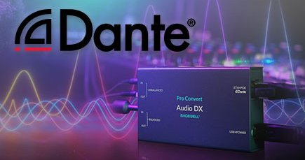 banner_dante