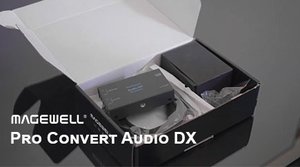 Обзор: Magewell Pro Convert Audio DX